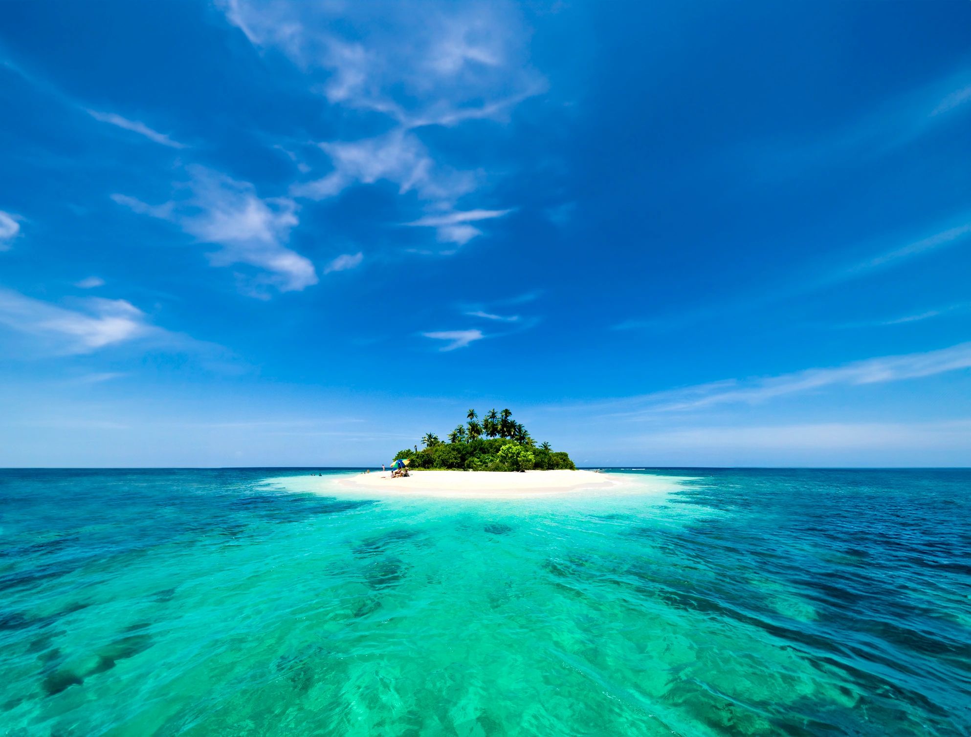 Tropical beach destination with white sand and palm trees